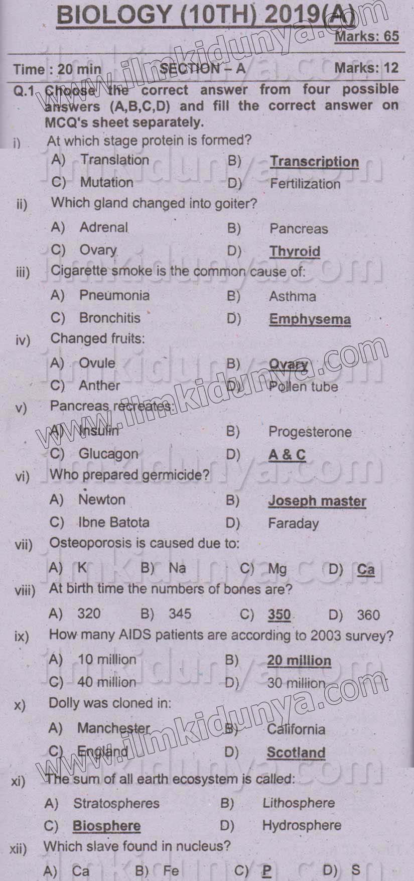 Paper Image